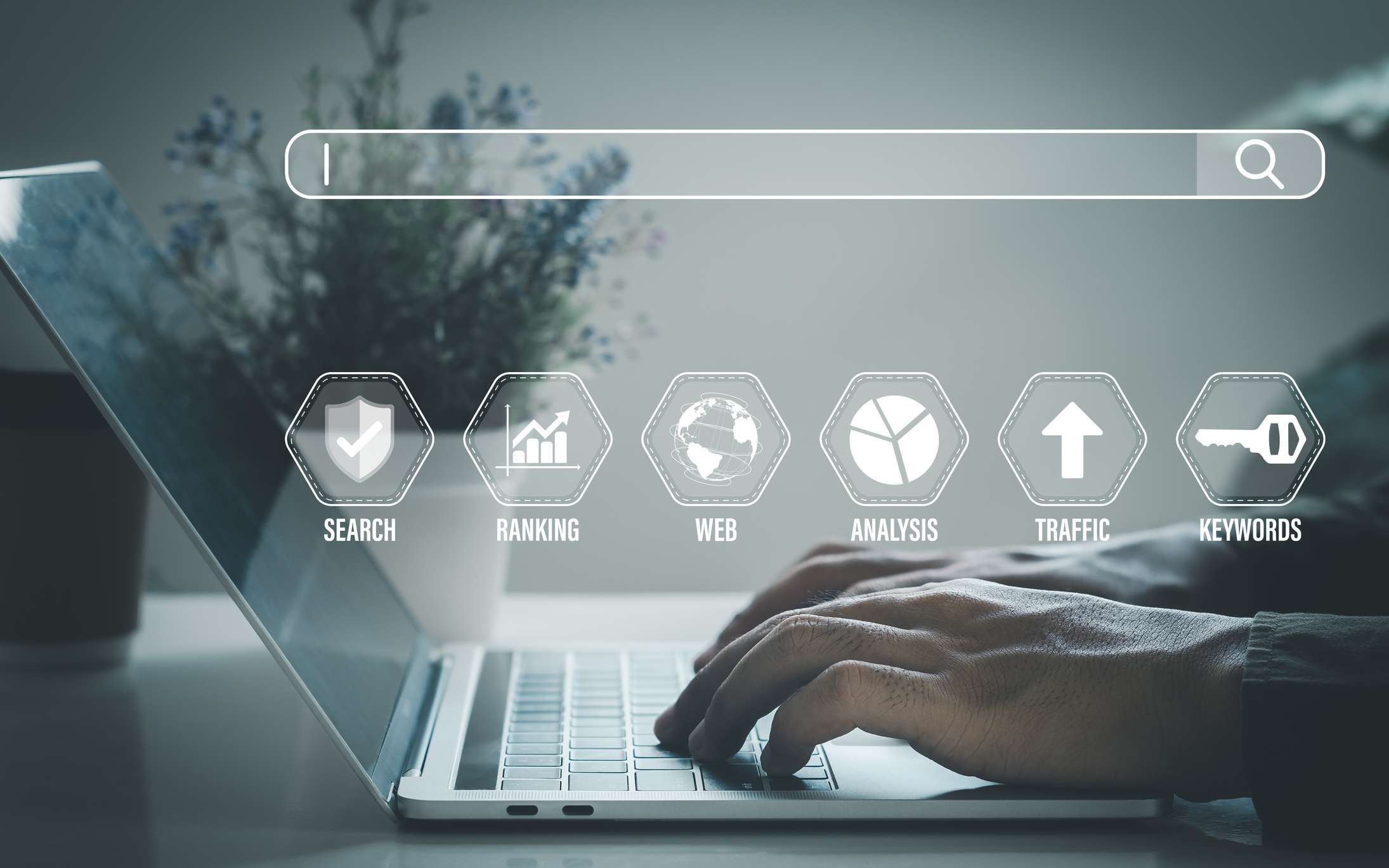 Webdesign und Entwicklungsservice